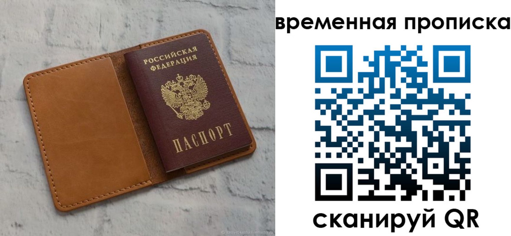 прописка поиск в Емве